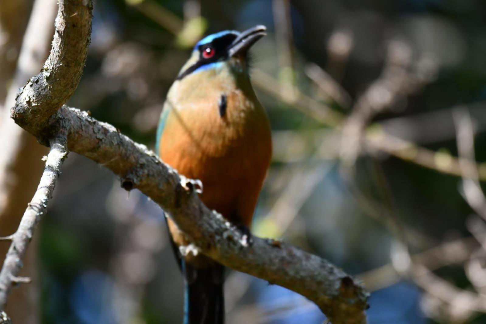 El Paraiso Posada Finca San Vicente Barichara Dış mekan fotoğraf