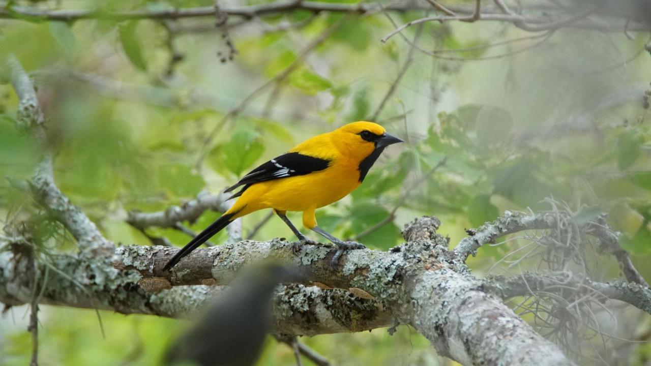 El Paraiso Posada Finca San Vicente Barichara Dış mekan fotoğraf