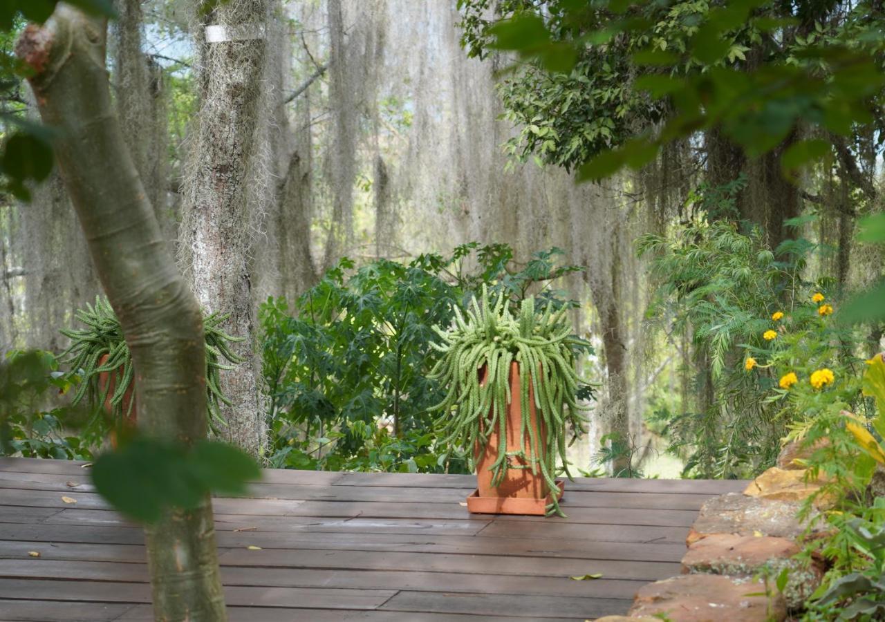 El Paraiso Posada Finca San Vicente Barichara Dış mekan fotoğraf
