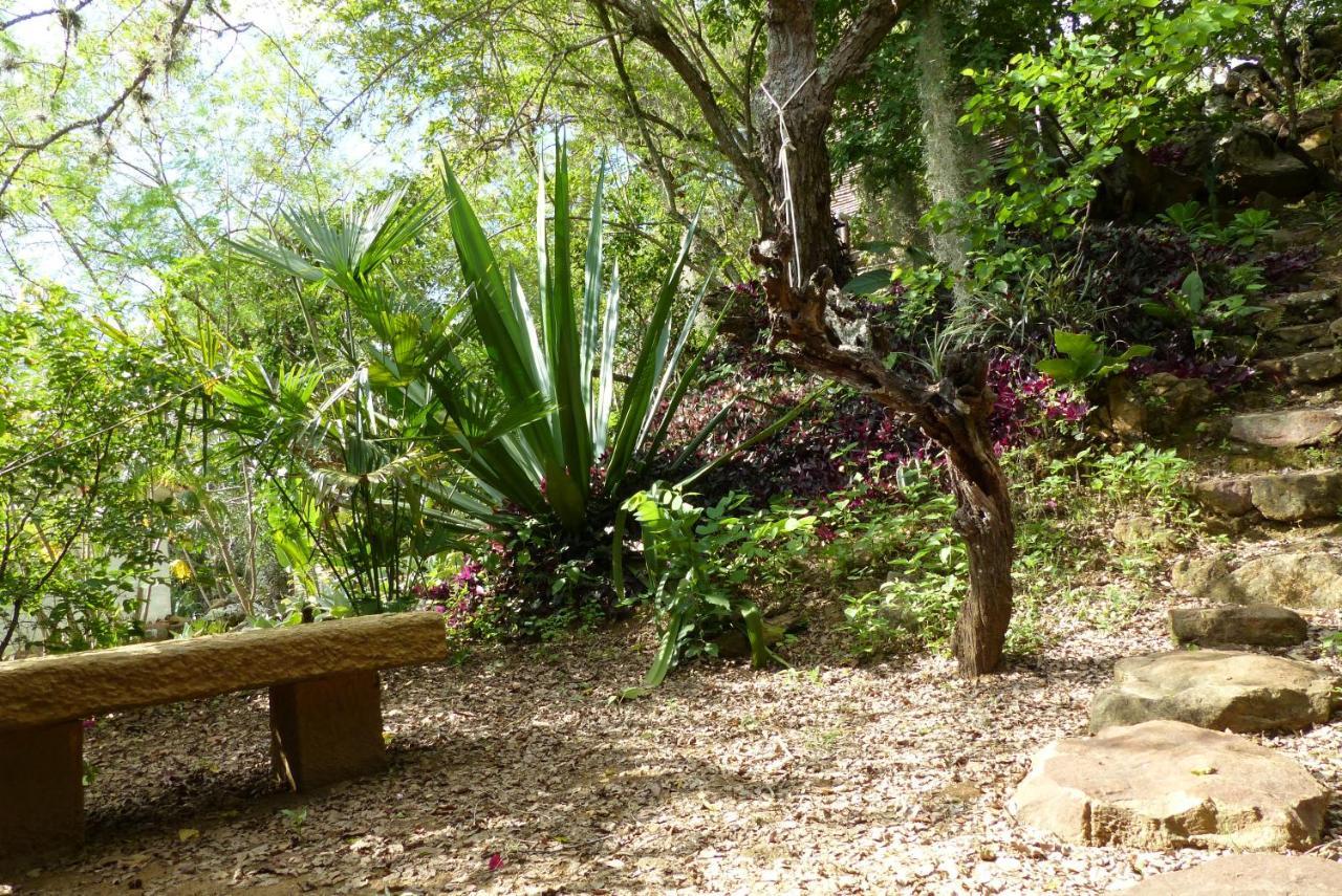 El Paraiso Posada Finca San Vicente Barichara Dış mekan fotoğraf